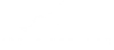 Conversion Consulting